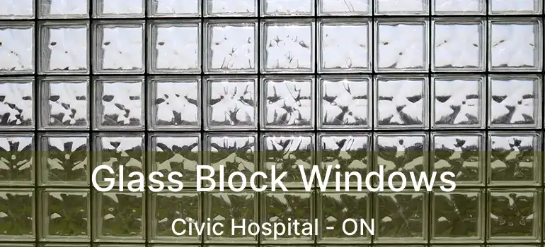  Glass Block Windows Civic Hospital - ON