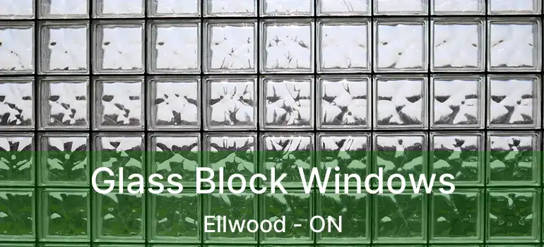  Glass Block Windows Ellwood - ON