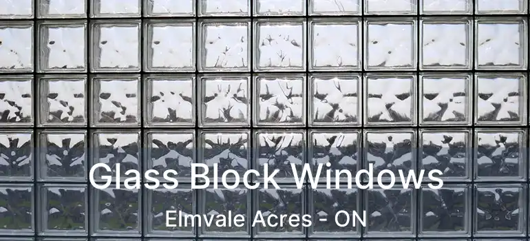  Glass Block Windows Elmvale Acres - ON