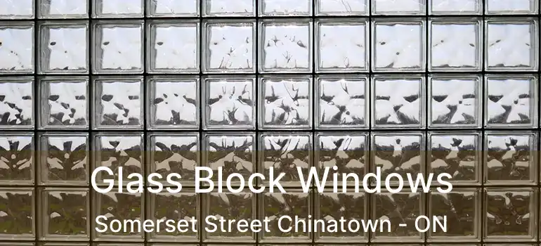  Glass Block Windows Somerset Street Chinatown - ON