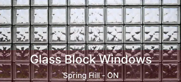  Glass Block Windows Spring Hill - ON