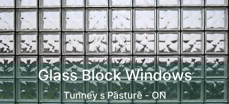  Glass Block Windows Tunney s Pasture - ON