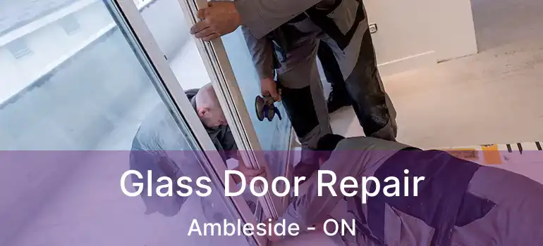  Glass Door Repair Ambleside - ON