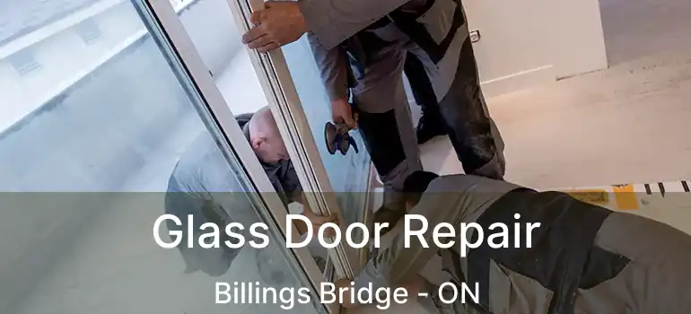  Glass Door Repair Billings Bridge - ON