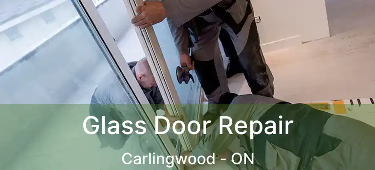  Glass Door Repair Carlingwood - ON