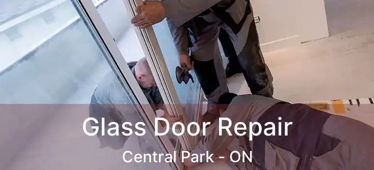  Glass Door Repair Central Park - ON