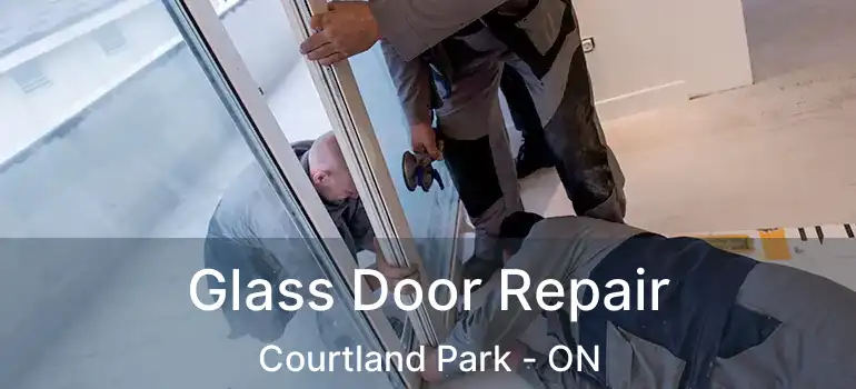  Glass Door Repair Courtland Park - ON