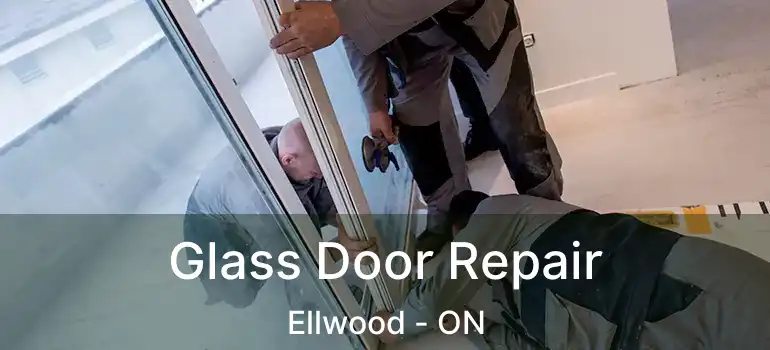  Glass Door Repair Ellwood - ON