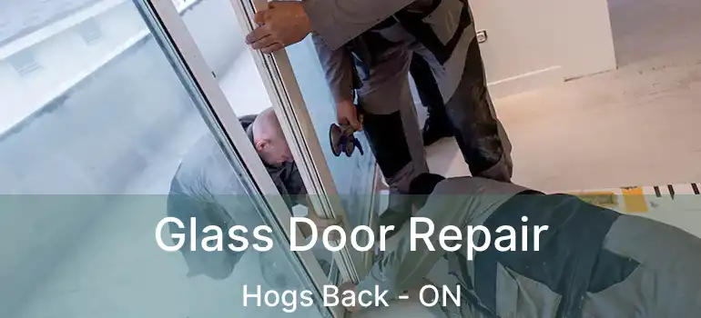  Glass Door Repair Hogs Back - ON