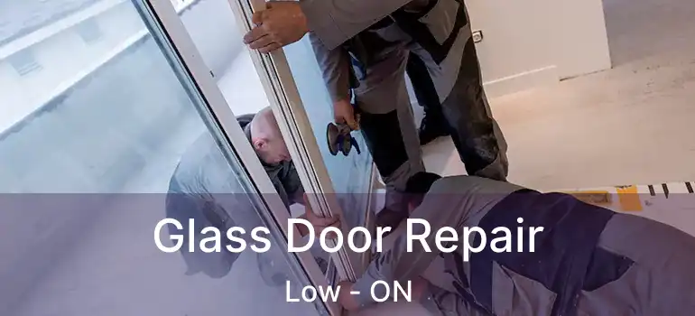  Glass Door Repair Low - ON