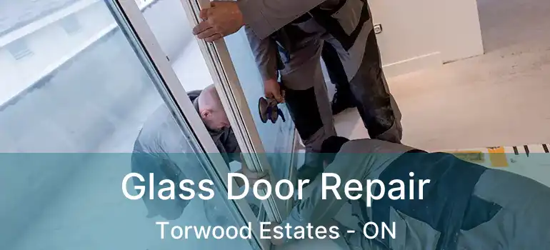  Glass Door Repair Torwood Estates - ON