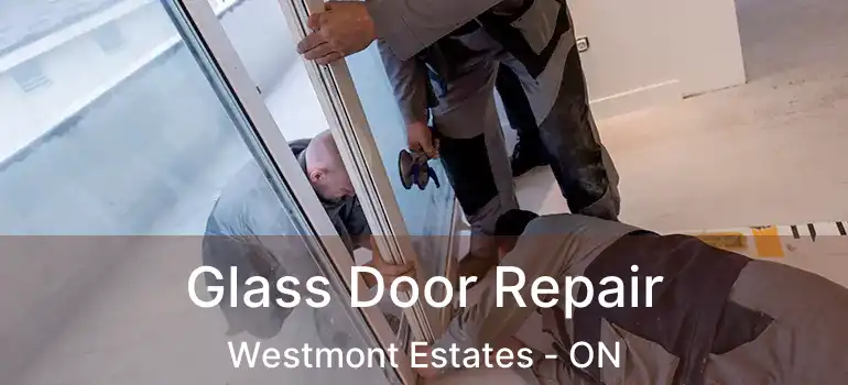  Glass Door Repair Westmont Estates - ON