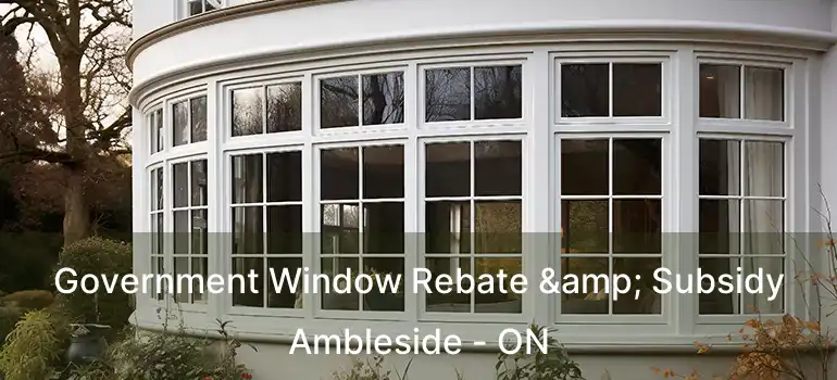  Government Window Rebate & Subsidy Ambleside - ON