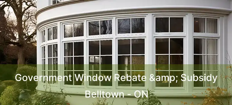  Government Window Rebate & Subsidy Belltown - ON