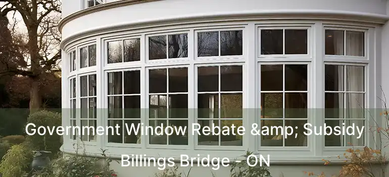  Government Window Rebate & Subsidy Billings Bridge - ON