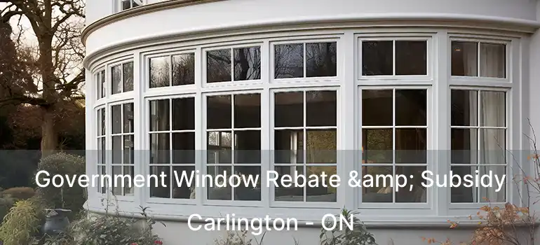  Government Window Rebate & Subsidy Carlington - ON