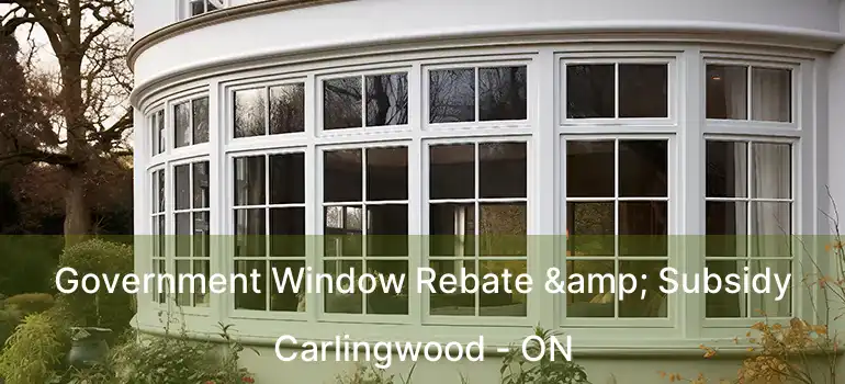  Government Window Rebate & Subsidy Carlingwood - ON