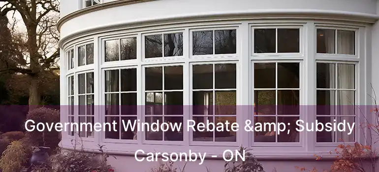  Government Window Rebate & Subsidy Carsonby - ON