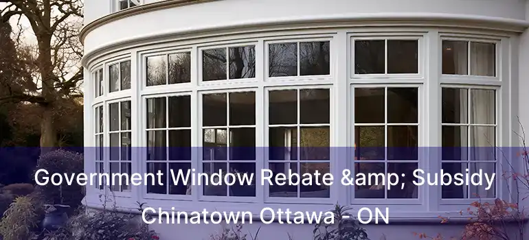  Government Window Rebate & Subsidy Chinatown Ottawa - ON