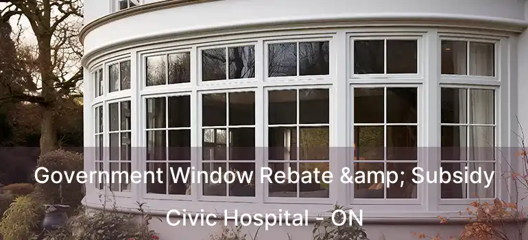  Government Window Rebate & Subsidy Civic Hospital - ON