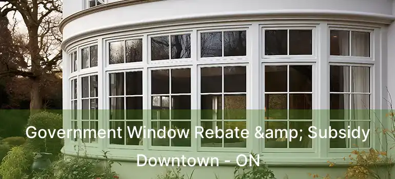  Government Window Rebate & Subsidy Downtown - ON