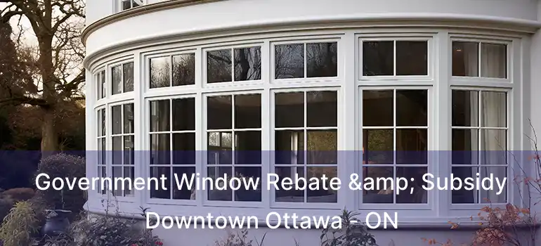  Government Window Rebate & Subsidy Downtown Ottawa - ON