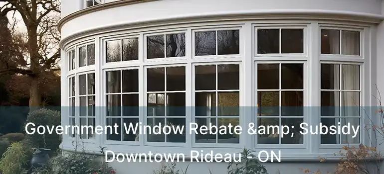  Government Window Rebate & Subsidy Downtown Rideau - ON