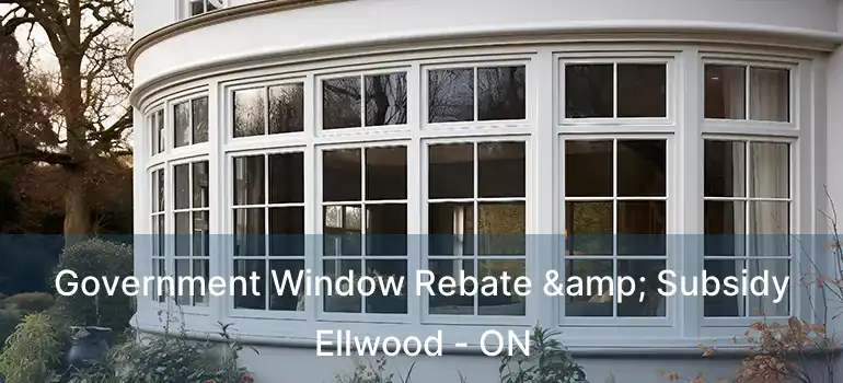  Government Window Rebate & Subsidy Ellwood - ON