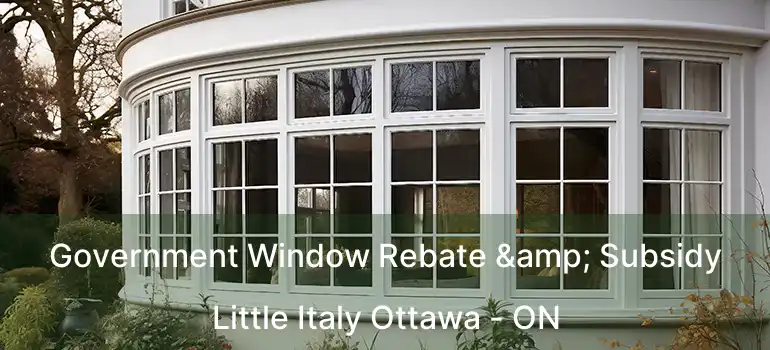  Government Window Rebate & Subsidy Little Italy Ottawa - ON