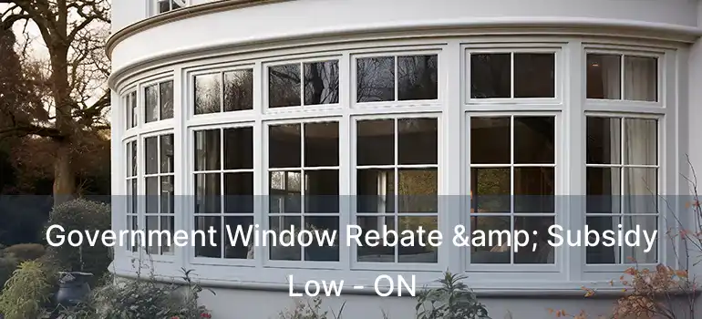  Government Window Rebate & Subsidy Low - ON