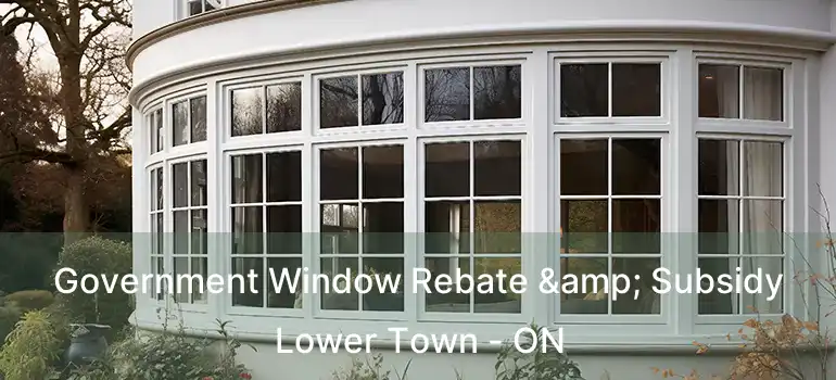  Government Window Rebate & Subsidy Lower Town - ON