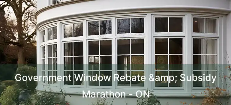  Government Window Rebate & Subsidy Marathon - ON