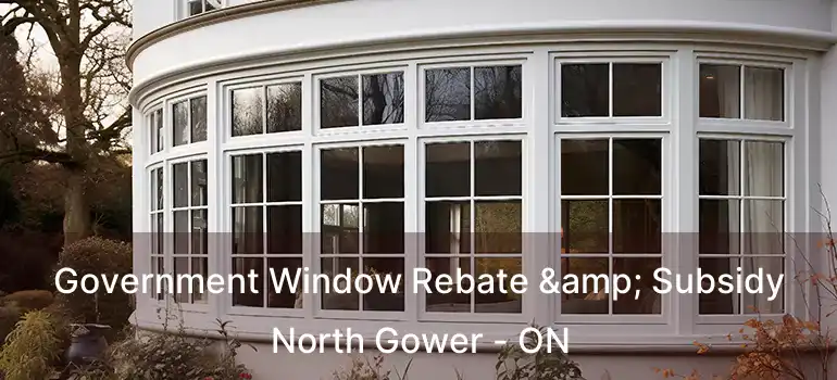  Government Window Rebate & Subsidy North Gower - ON