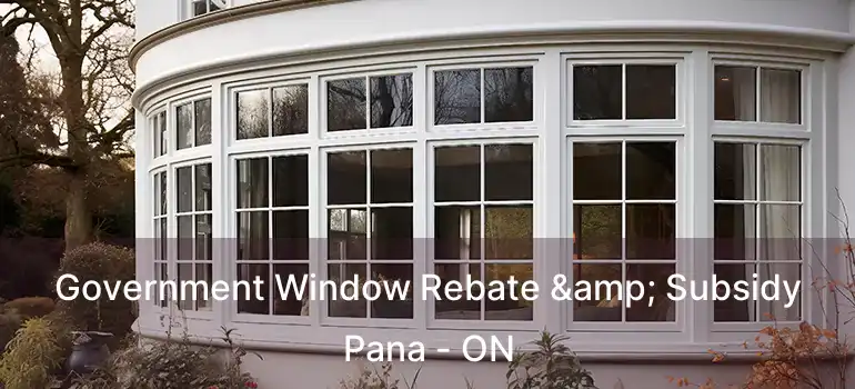  Government Window Rebate & Subsidy Pana - ON