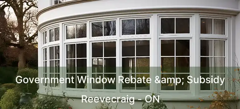  Government Window Rebate & Subsidy Reevecraig - ON