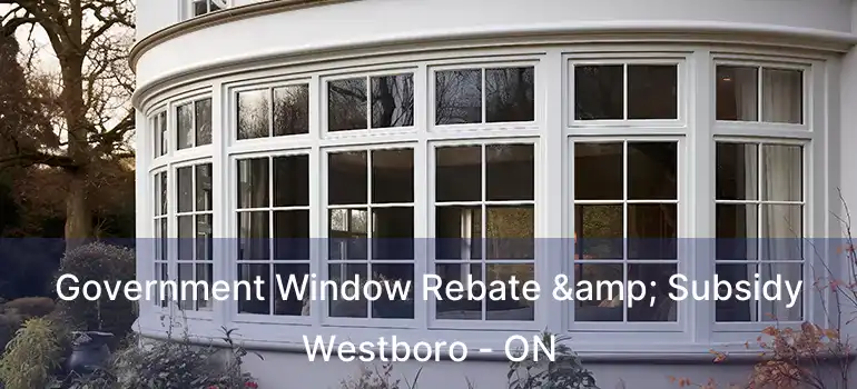  Government Window Rebate & Subsidy Westboro - ON