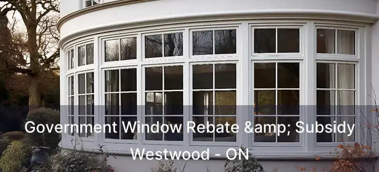  Government Window Rebate & Subsidy Westwood - ON