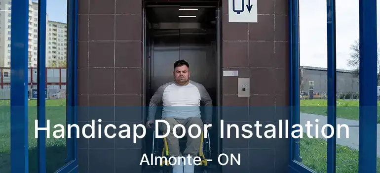  Handicap Door Installation Almonte - ON