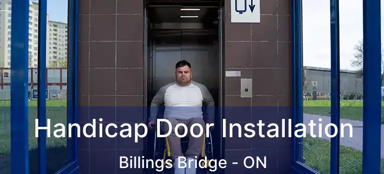  Handicap Door Installation Billings Bridge - ON