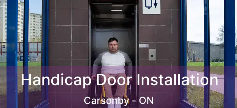  Handicap Door Installation Carsonby - ON