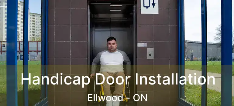  Handicap Door Installation Ellwood - ON