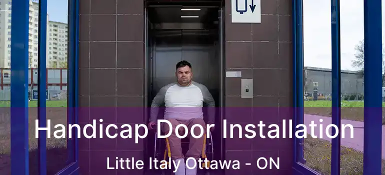  Handicap Door Installation Little Italy Ottawa - ON