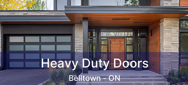  Heavy Duty Doors Belltown - ON