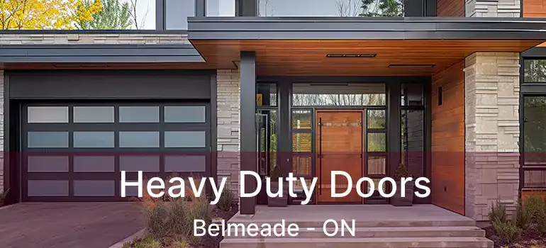  Heavy Duty Doors Belmeade - ON