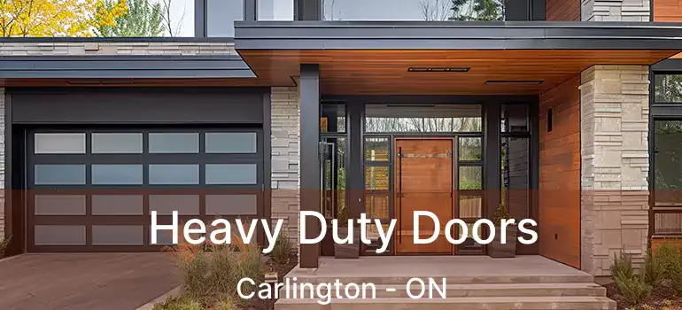  Heavy Duty Doors Carlington - ON