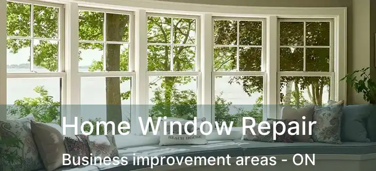  Home Window Repair Business improvement areas - ON