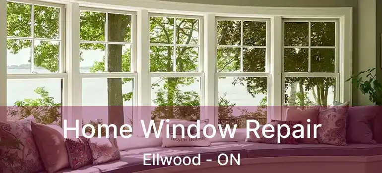  Home Window Repair Ellwood - ON