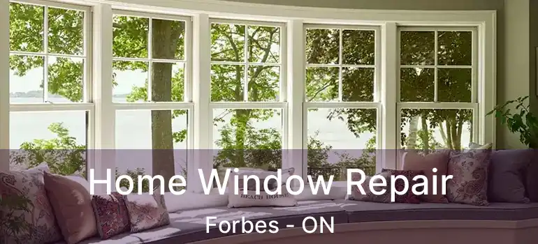  Home Window Repair Forbes - ON