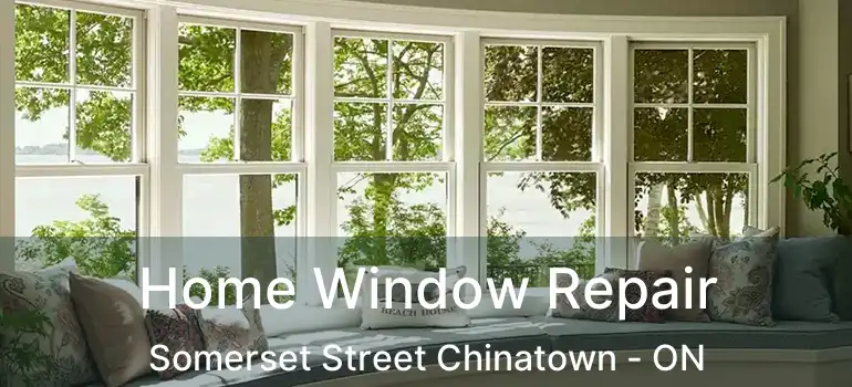  Home Window Repair Somerset Street Chinatown - ON