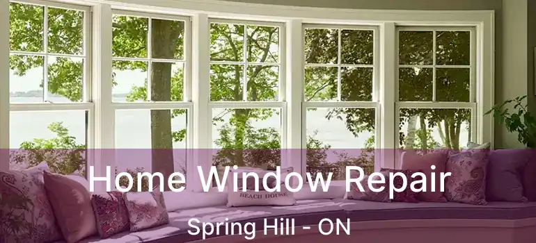  Home Window Repair Spring Hill - ON